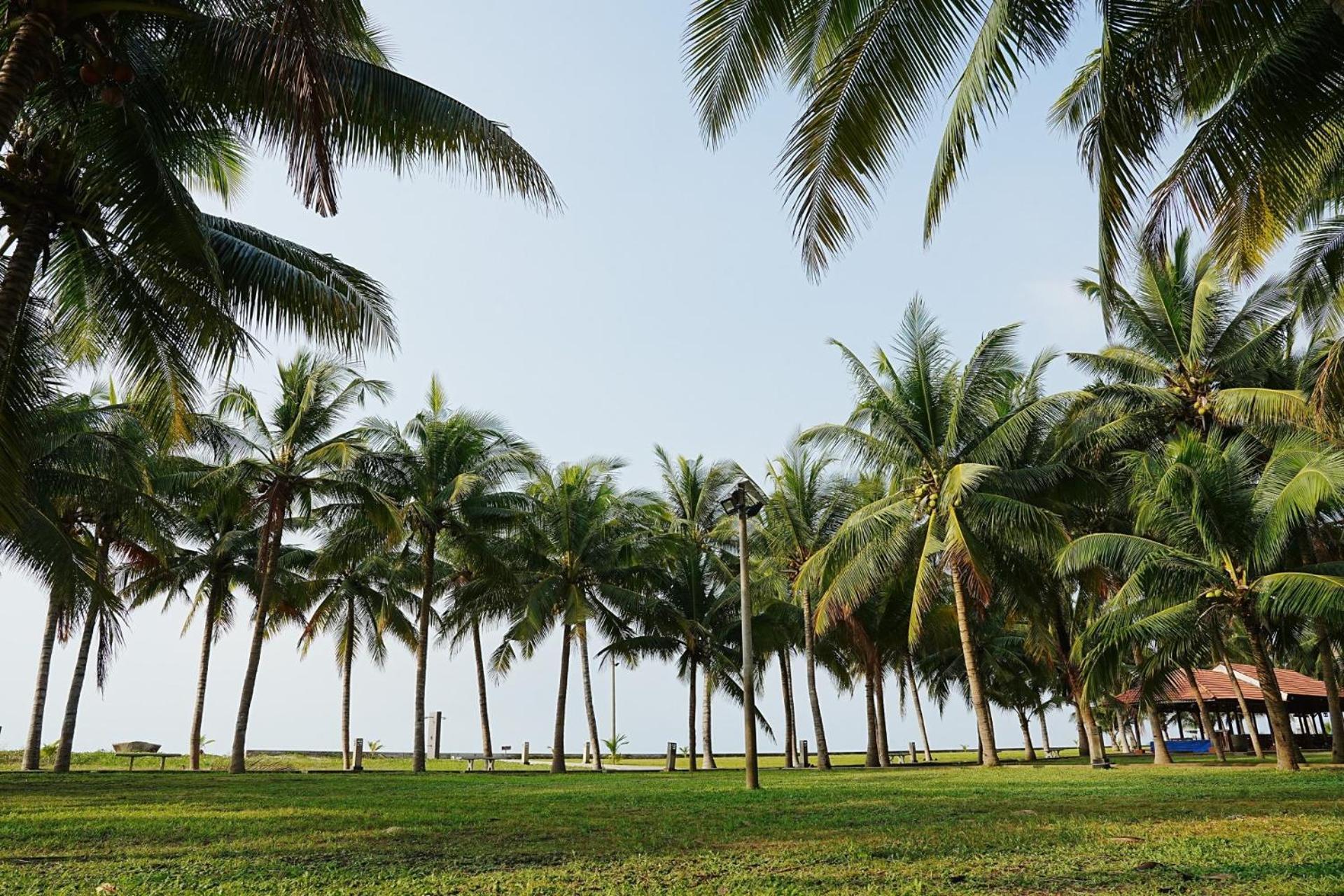 Dat Lanh Beach Resort La Gi Exterior foto